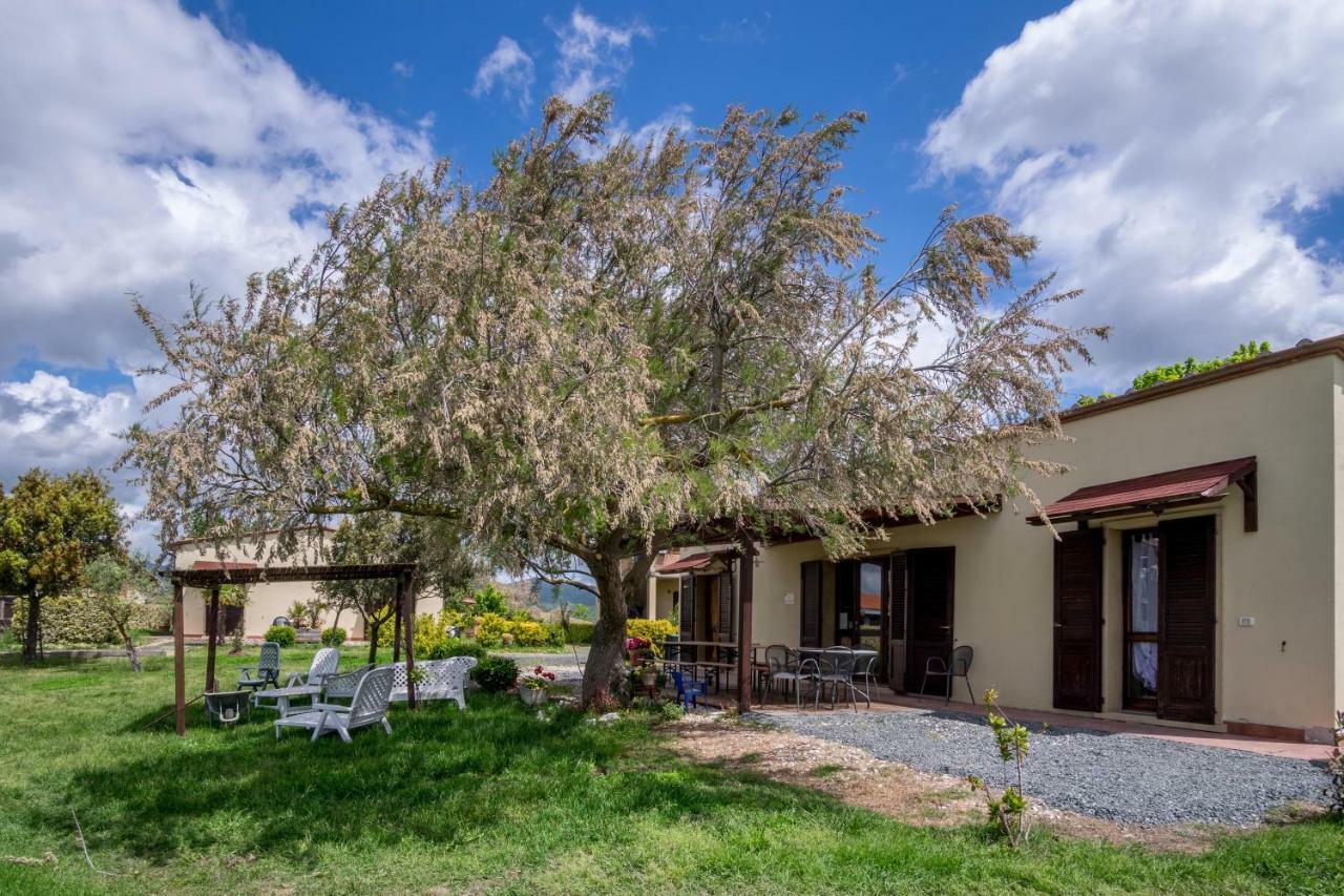 Agriturismo Il Canterino Guardistallo Exterior photo